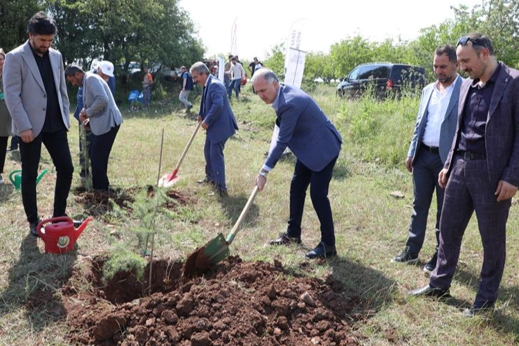 Bursa İnegöl’de Çevre Haftasında 150 fidan toprakla buluştu