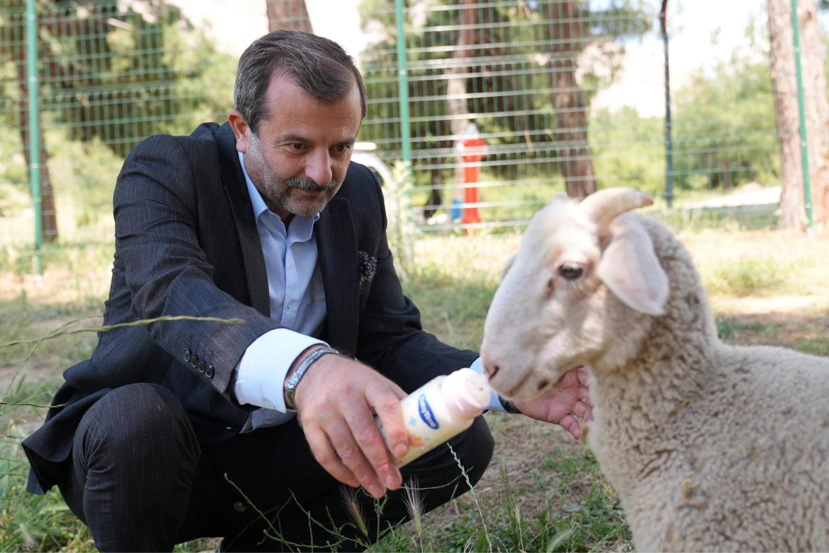 Bursa Gürsu'ya butik hayvanat bahçesi