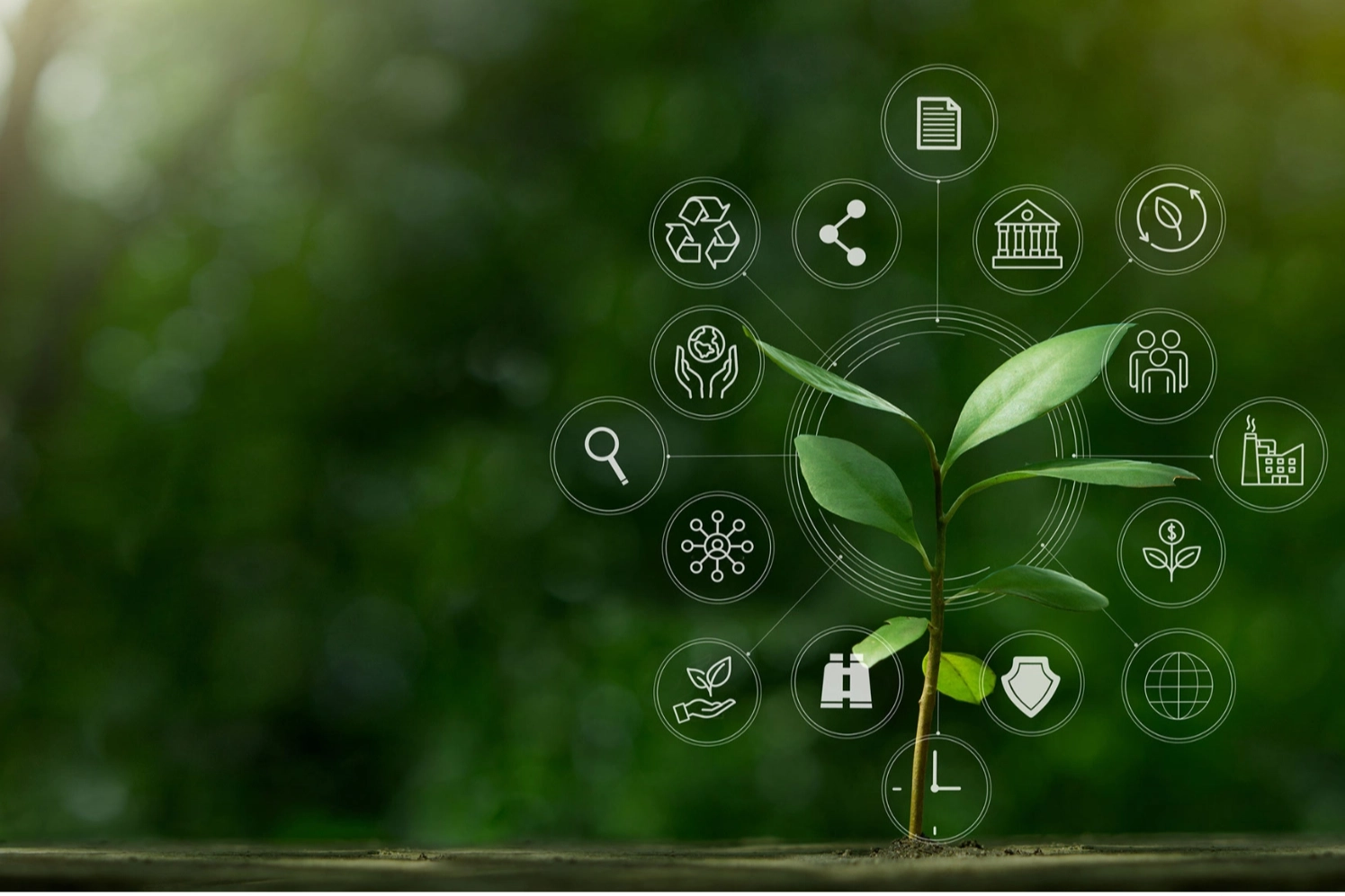 İklim Kanunu 'Resmi'leşti... İklim değişikliğiyle mücadelede yeni dönem