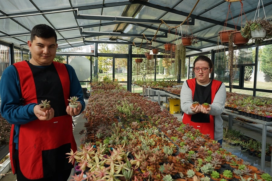 Konya Selçuklu'da otizmliler sukulentleri sevgiyle yetiştiriyor